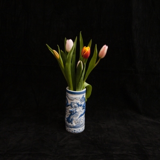 Tulips-1